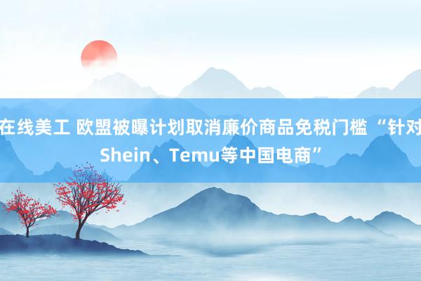 在线美工 欧盟被曝计划取消廉价商品免税门槛 “针对Shein、Temu等中国电商”