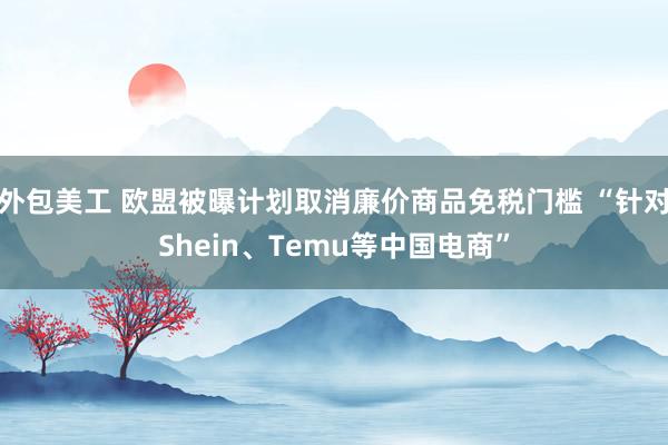 外包美工 欧盟被曝计划取消廉价商品免税门槛 “针对Shein、Temu等中国电商”