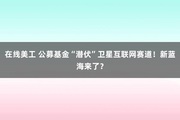 在线美工 公募基金“潜伏”卫星互联网赛道！新蓝海来了？