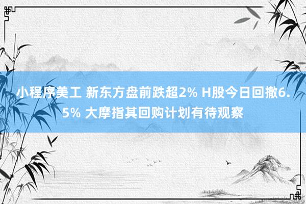 小程序美工 新东方盘前跌超2% H股今日回撤6.5% 大摩指其回购计划有待观察