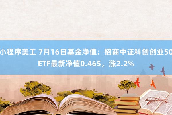 小程序美工 7月16日基金净值：招商中证科创创业50ETF最新净值0.465，涨2.2%